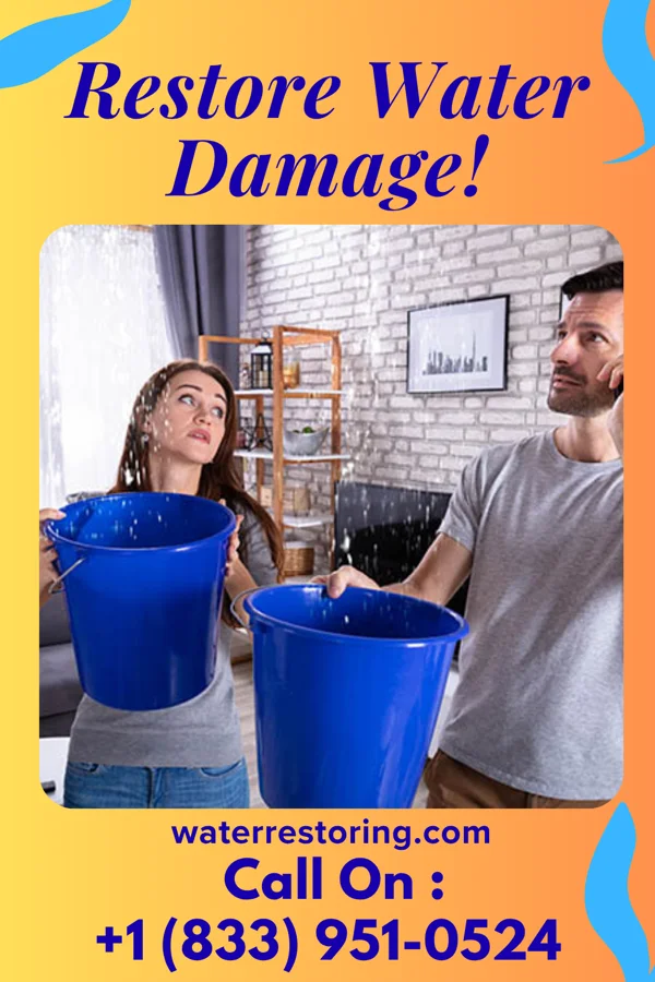 water restoration Prestige Emergency Restoration Experts Wenonah