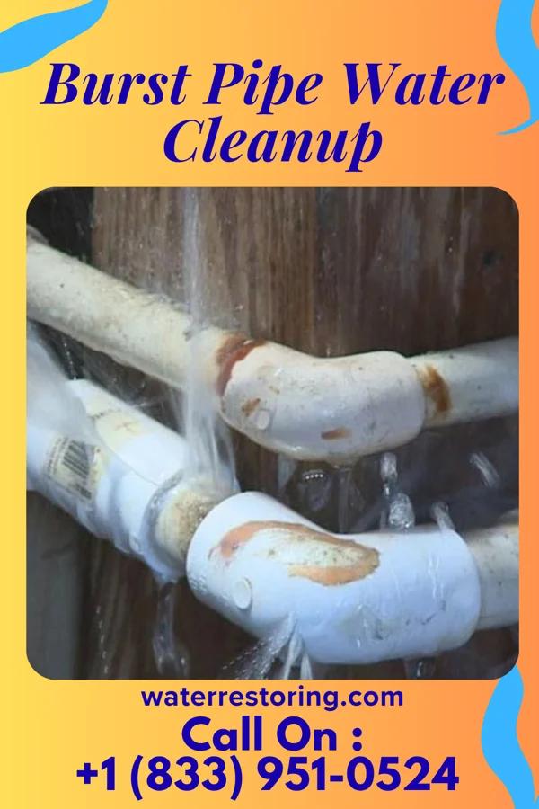 Burst Pipe Water Cleanup in Wenonah, NJ