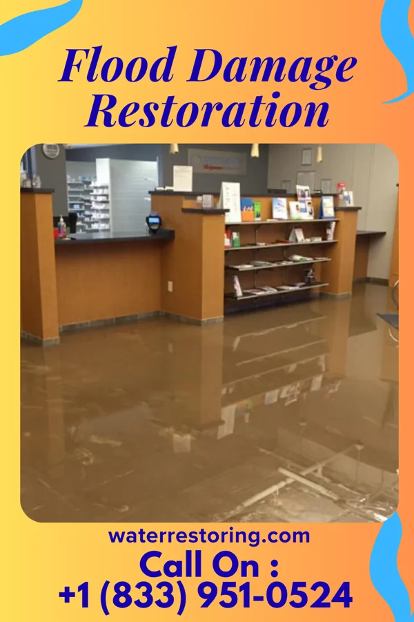 Flood Damage Restoration in Wenonah, NJ