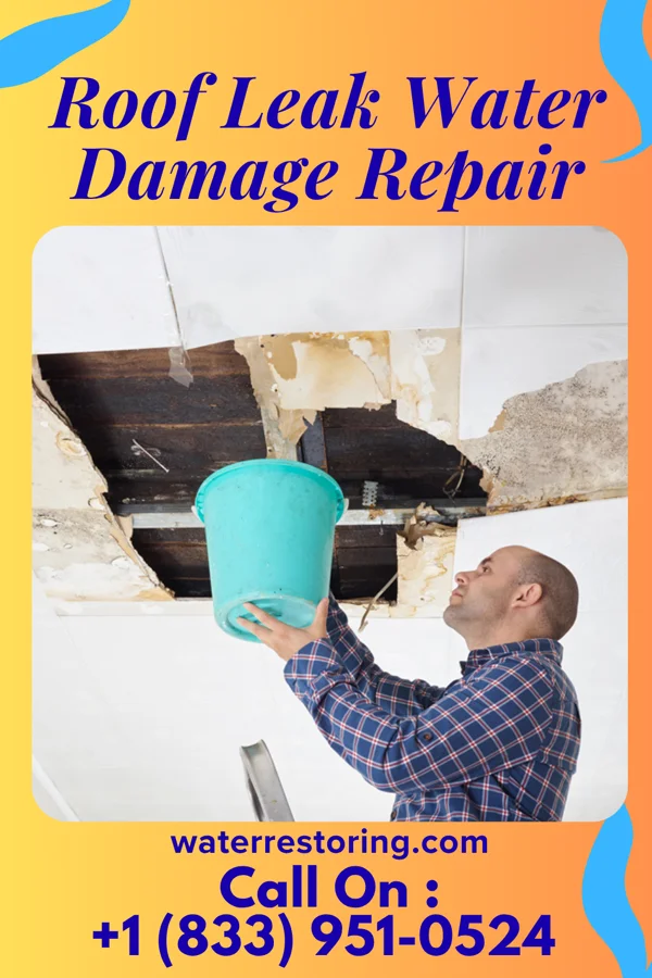 Roof Leak Water Damage Repair in Wenonah, NJ