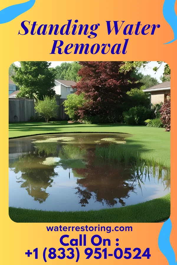 Standing Water Removal in Wenonah, NJ